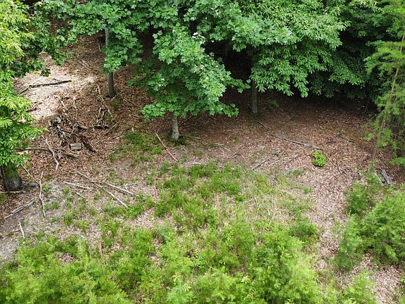 5th image of 0 Cove Springs Dr Lot 11