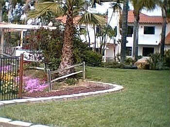 2nd image of 15676 Oakstand Rd