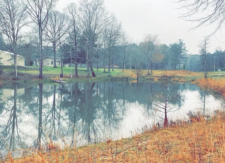 47 Freeman Town Rd — Photo 9