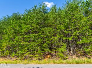 742 White Dogwood Rd LOT 13, Newport, TN 37821