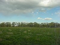 1st image of 6604 Sunrise Ave