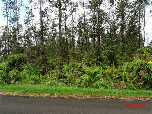 2nd image of Uilani Dr