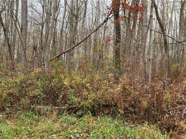 0 Peacock Rd N #12, Bath, NY 14810