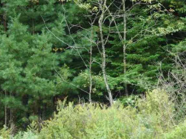 4 Flag Run, Davis, WV 26260