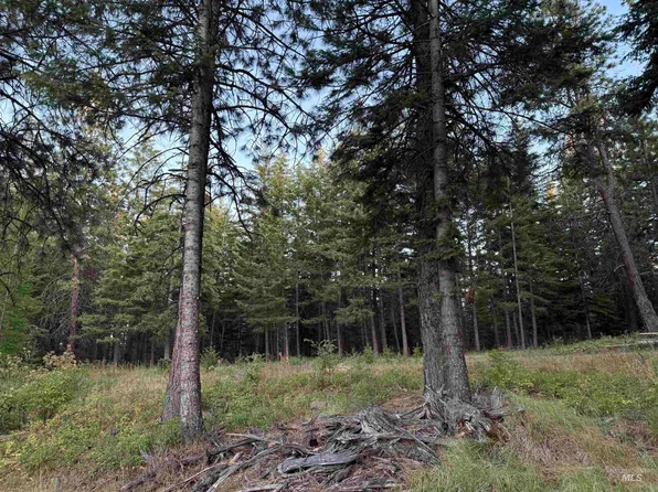 Harlow Ridge Road Cloverland Ests #26, Asotin, WA 99402