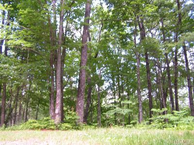 990 Found Forest Rd, Cashiers, NC, 28717