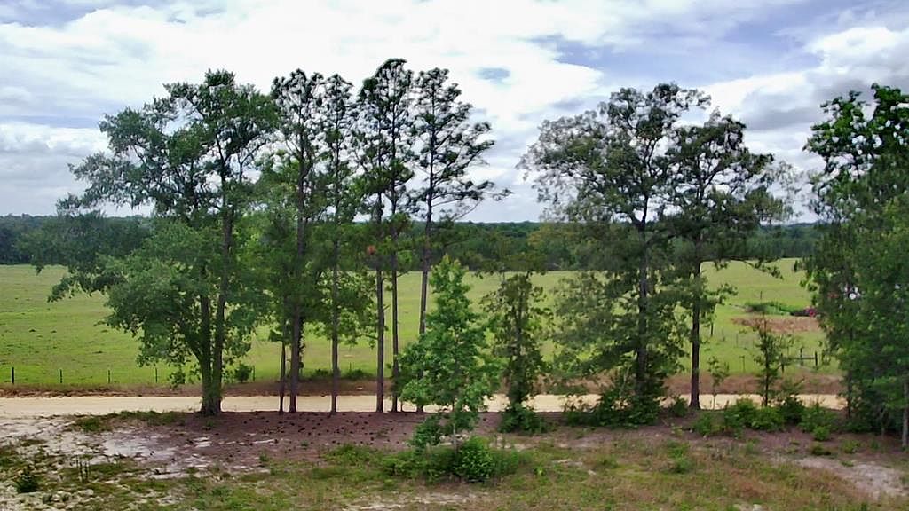 0 NE Hayborn Rd, b, AL 36376 MLS 190459 Zillow