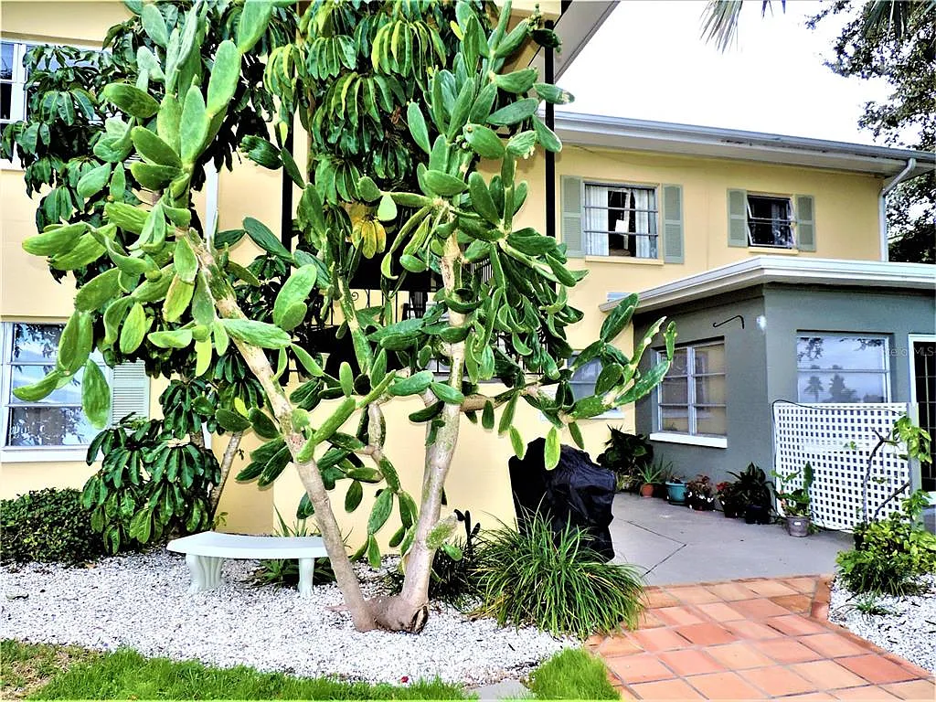 1 bed, 1.0 bath, 800 sqft, $1,600 — Photo 3