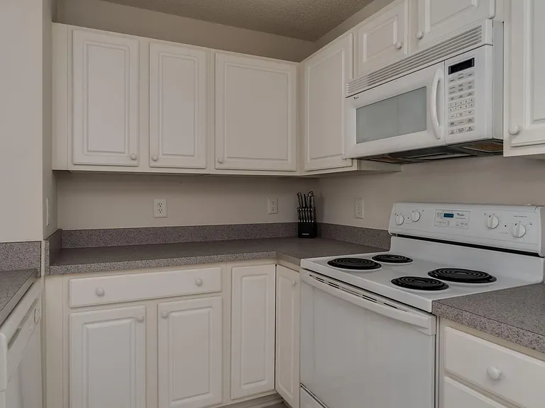 1023 Timberline Ridge Ct — Photo 10