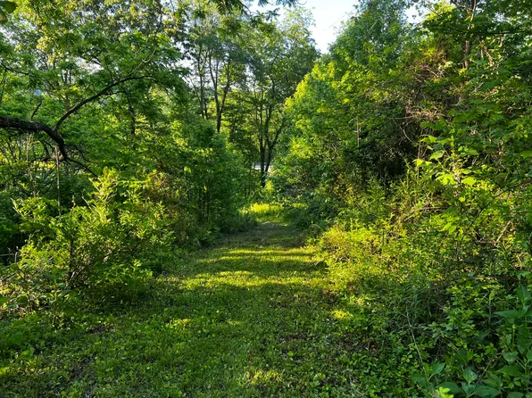 160 Dillard Moore Rd, Vada, KY 41311