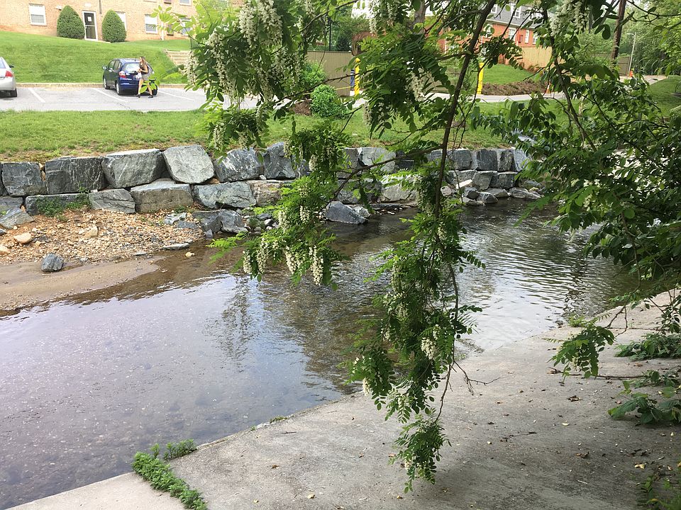 the stream out back