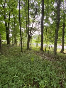 60 Th Ave S, Gruetli Laager, TN, 37339