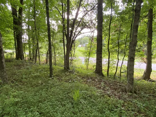 60 Th Ave S, Gruetli Laager, TN 37339