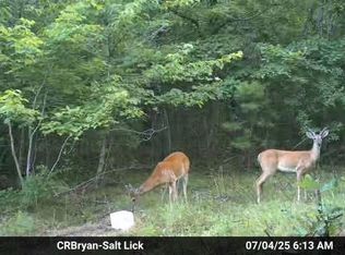 2 Sunnyland Rd, Mountain View, AR 72560