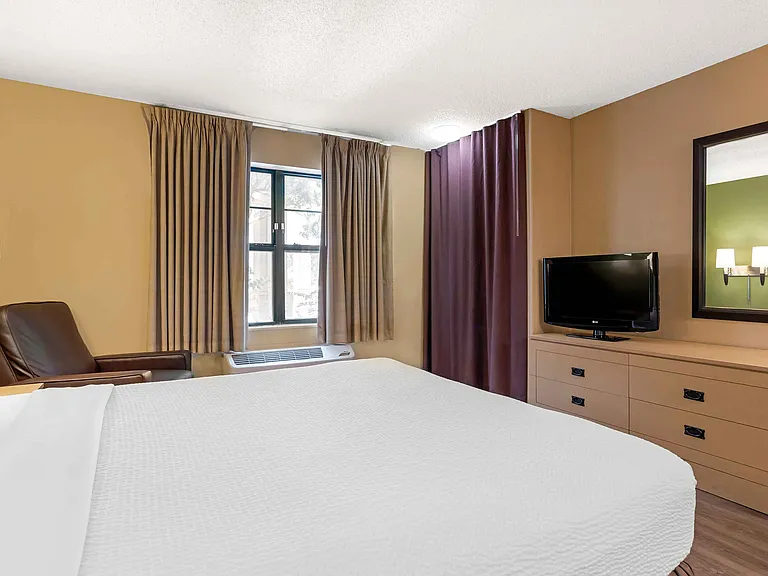Studio Suite - 1 Queen Bed