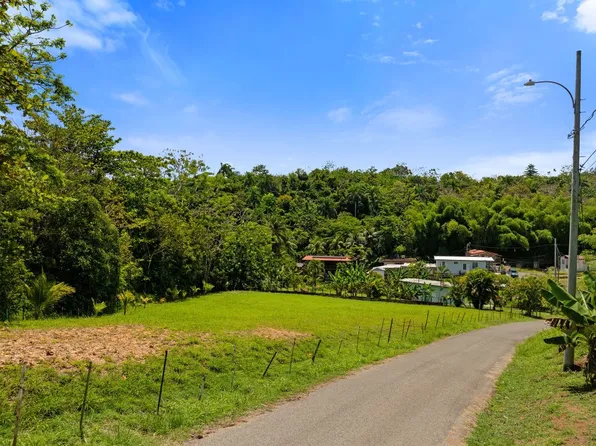 Sector Helin Soto Carr #414, Aguada, PR 00602