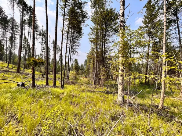 0 Lot 2 Star Vista Drive, Republic, WA 99166
