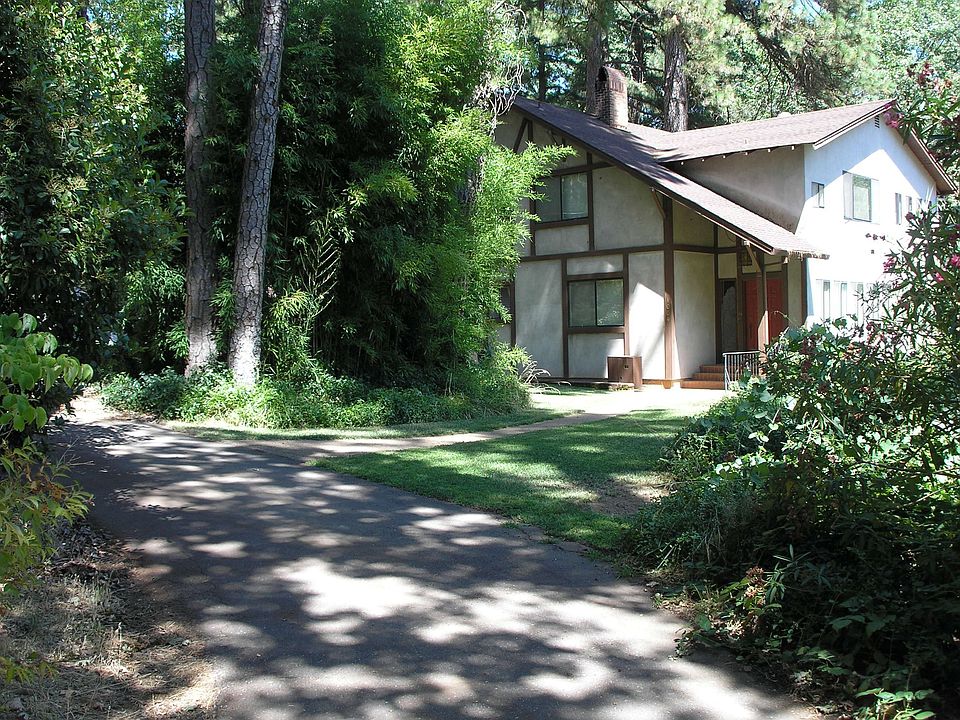 Driceway is lined with pine trees.