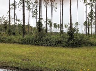 121 Cr, Hilliard, FL 32046