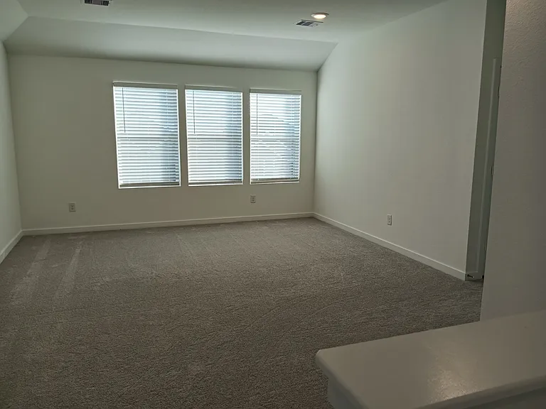 31826 Rich Meadows Ct — Photo 11