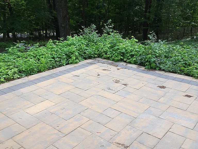 37 Diamond Glen Rd — Photo 6