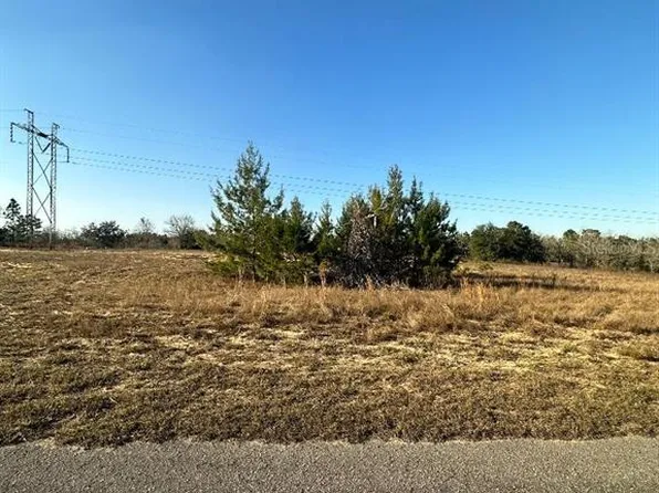 0 SE 115th Place Rd #11, Ocklawaha, FL 32179