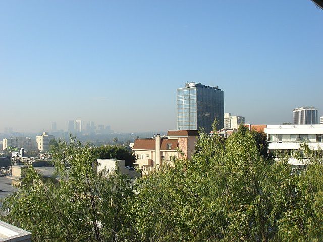 1st image of 1201 Larrabee St APT 302