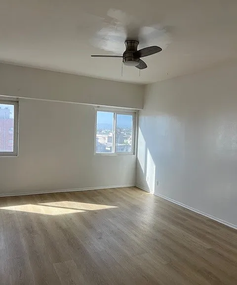 Beach House Apartments — Photo 6