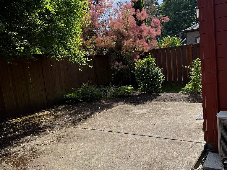 Backyard area