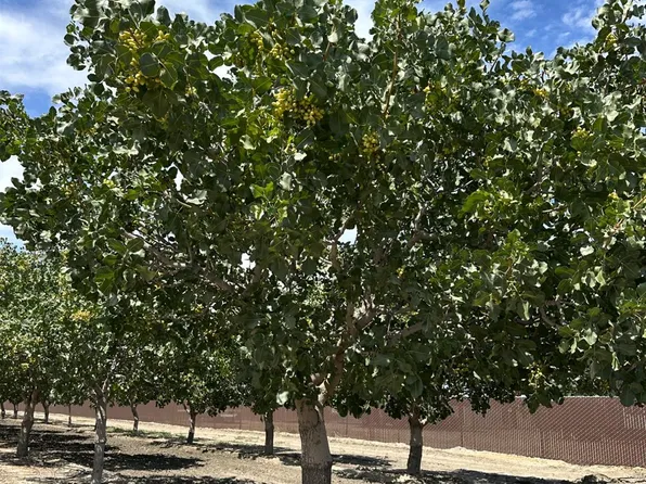 0 Lansing Ave, Stratford, CA 93266