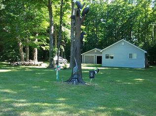 559 W Devereaux Lake Rd, Indian River, MI 49749