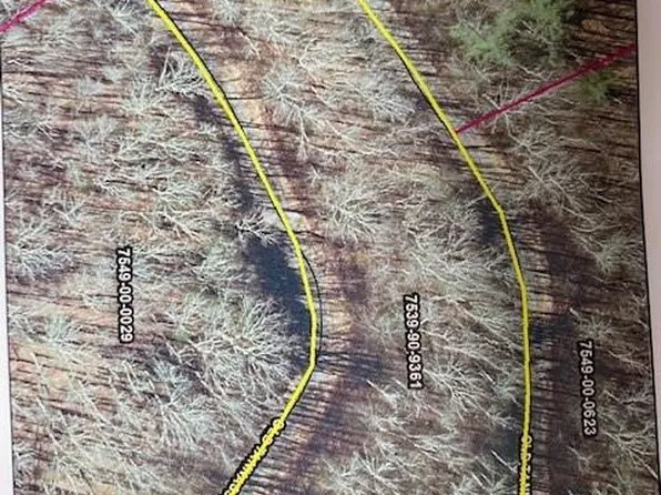 LOT 48 Mountain Forest Est, Sylva, NC 28779
