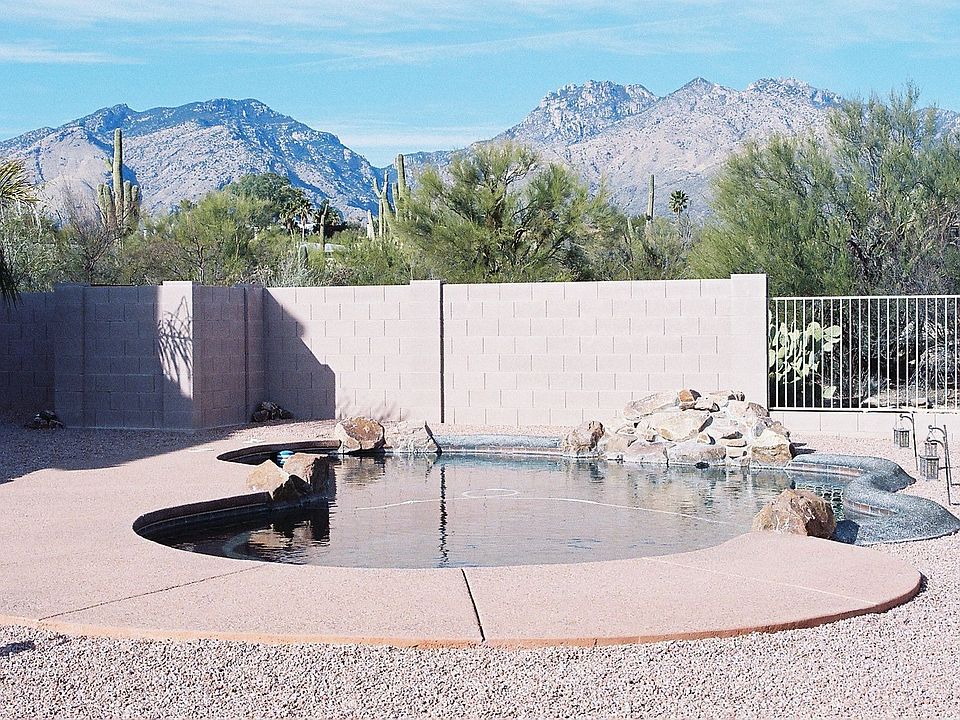 Sonoran Desert Beauty!