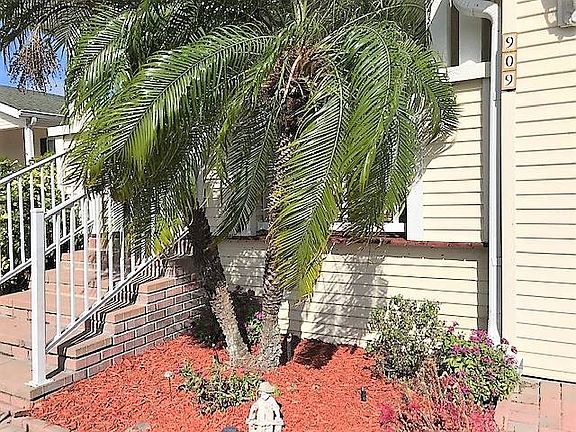 3rd image of 909 Eleuthera St W