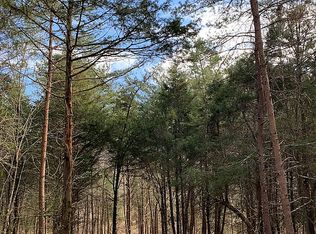 245 S Austin Springs Rd, Johnson City, TN 37601