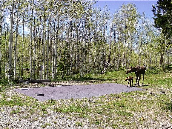 4th image of 1239 Deer Ln