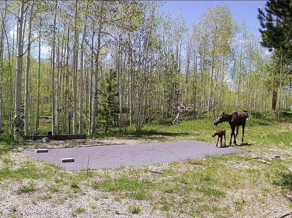 1239 Deer Ln, Kamas, UT 84036