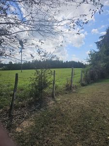 TRACT 3 County Road 306, Beckville, TX, 75631