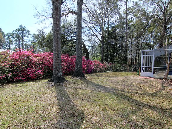 Back Yard w/ Azaleas