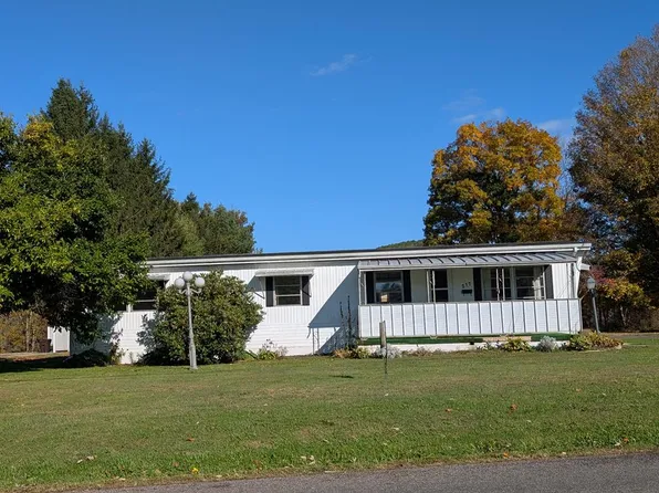 217 E Honeoye St, Shinglehouse, PA 16748