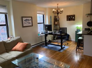 207 W Springfield St, Boston, MA 02118