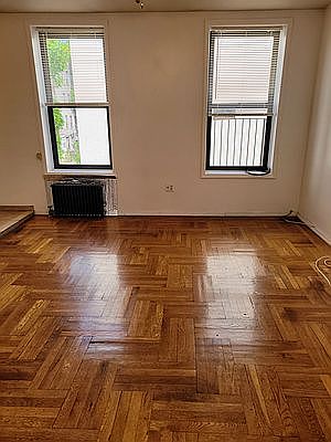 3rd image of 313 5th Ave Floor 2