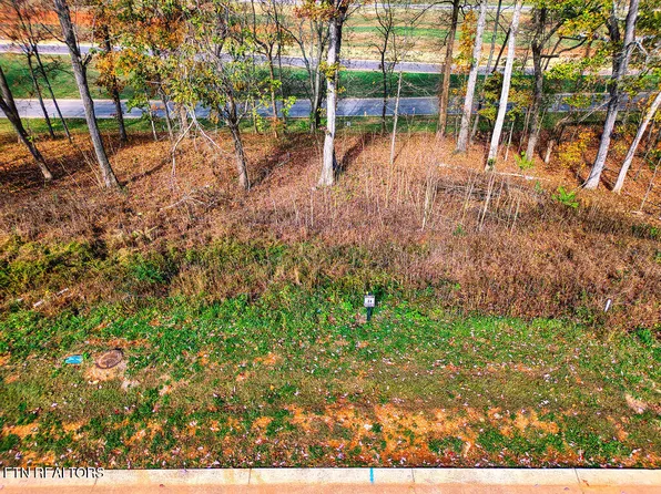 1673 Black Cove Ln, Loudon, TN 37774