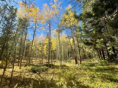 00 Lone Ponderosa Drive, Black Hawk, CO, 80422