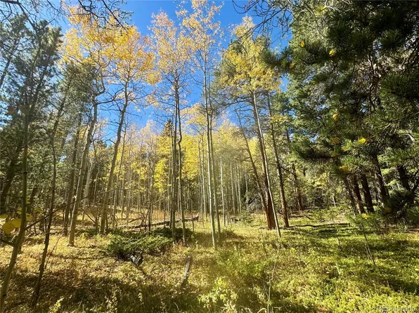 00 Lone Ponderosa Drive, Black Hawk, CO 80422