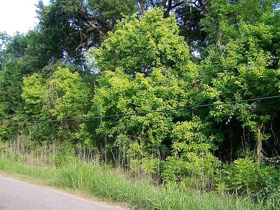 2nd image of 433 Manila Dr