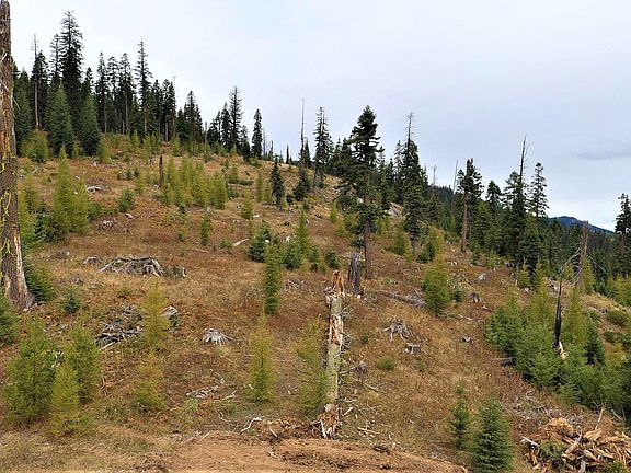 5th image of Elk City Wagon Rd