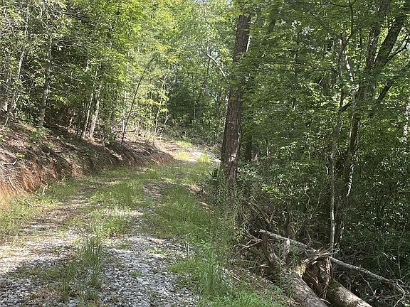 2nd image of 2060 Highway 19 Hwy S