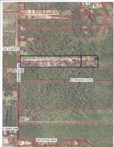 16430 Kennedy Rd, Bon Secour, AL, 36511