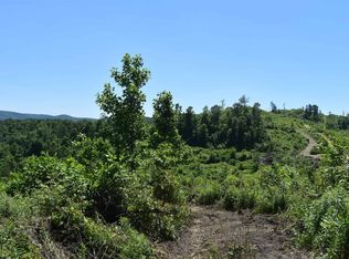 41 Rodmer Section 1, Terra Alta, WV 26764